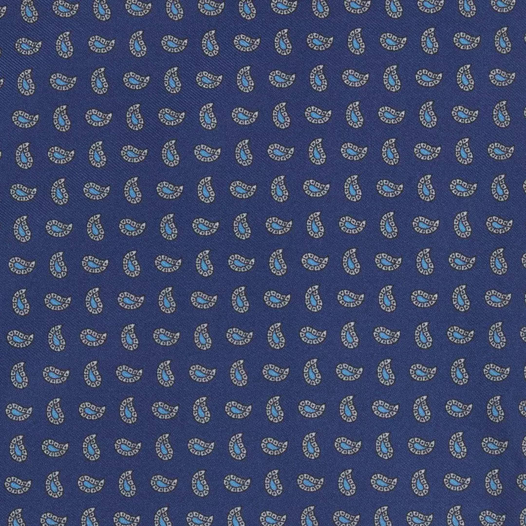 Navy & Blue Small Paisley Motif Silk Printed Tie
